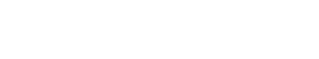 INTELLECT INTERNATIONAL SCHOOL