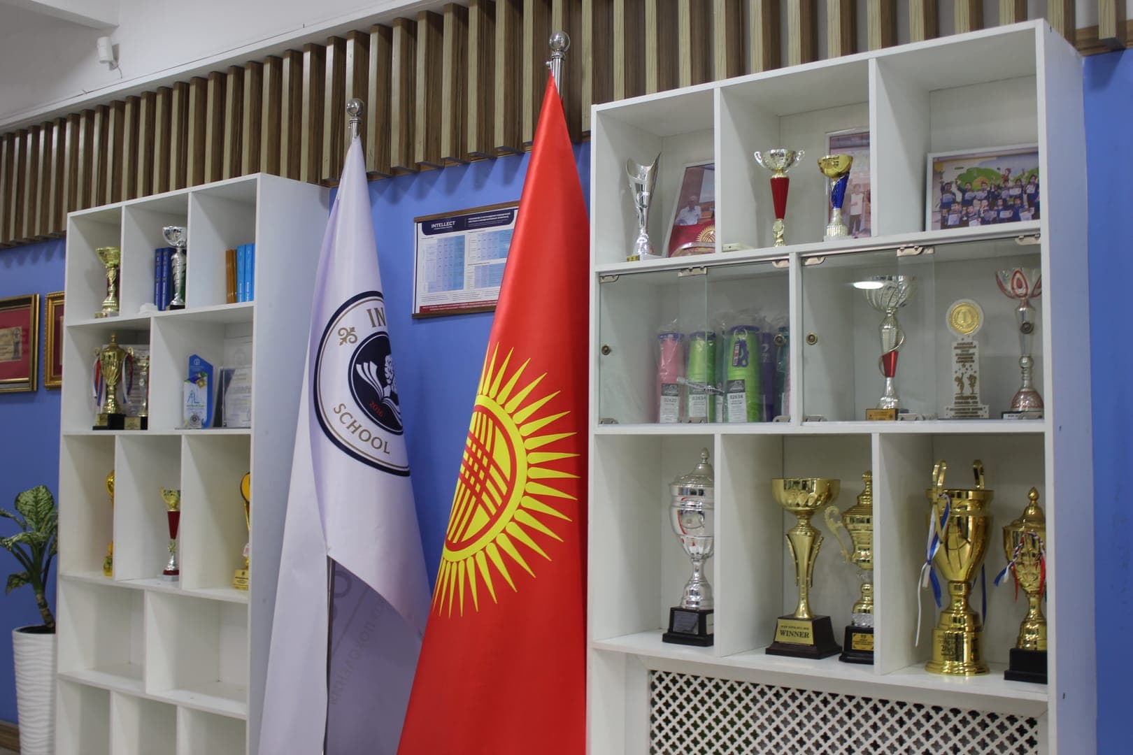 Классы
